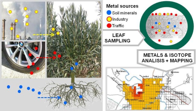 images_large_es-2017-006174_0005